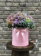 Цветочная композиция из Гипсофила и Розы в шляпной коробке #REPLACE_PRED# Власихе Алтайский край