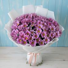 Букет цветов из:  Хризантемы в Власихе Алтайский край