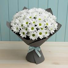 Букет цветов из:  Хризантемы в Власихе Алтайский край