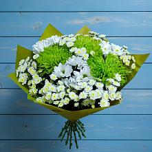 Букет цветов из:  Хризантемы #REPLACE_PRED# Власихе Алтайский край