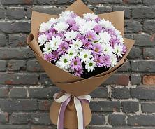 Букет цветов из:  Хризантемы #REPLACE_PRED# Власихе Алтайский край