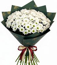 Букет цветов из:  Хризантемы в Власихе Алтайский край