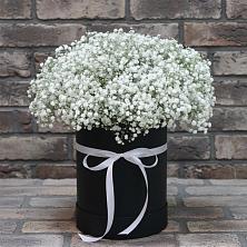Цветочная композиция из Гипсофила в шляпной коробке в Власихе Алтайский край