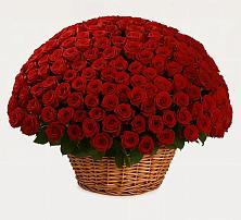 Премиум букет из: Розы в Власихе Алтайский край