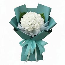 Букет цветов из:  Гортензия #REPLACE_PRED# Власихе Алтайский край